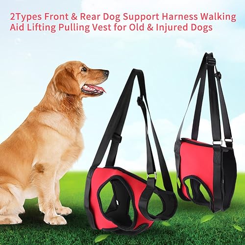 Miniatura 6 de Arnés de apoyo para perros, ayuda para caminar para mascotas, chaleco de levantamiento de tirones, soporte de rehabilitación para perros viejos y