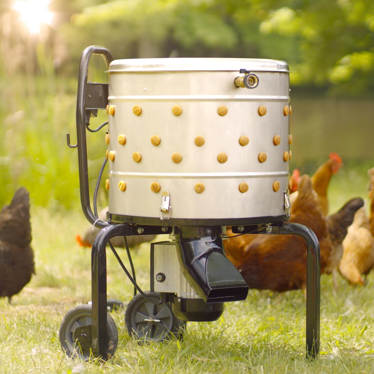 Roots & Harvest Poultry Plucker, 750 Watt, 20" Diameter Stainless Steel Drum with Rubber Fingers and Built in Water System