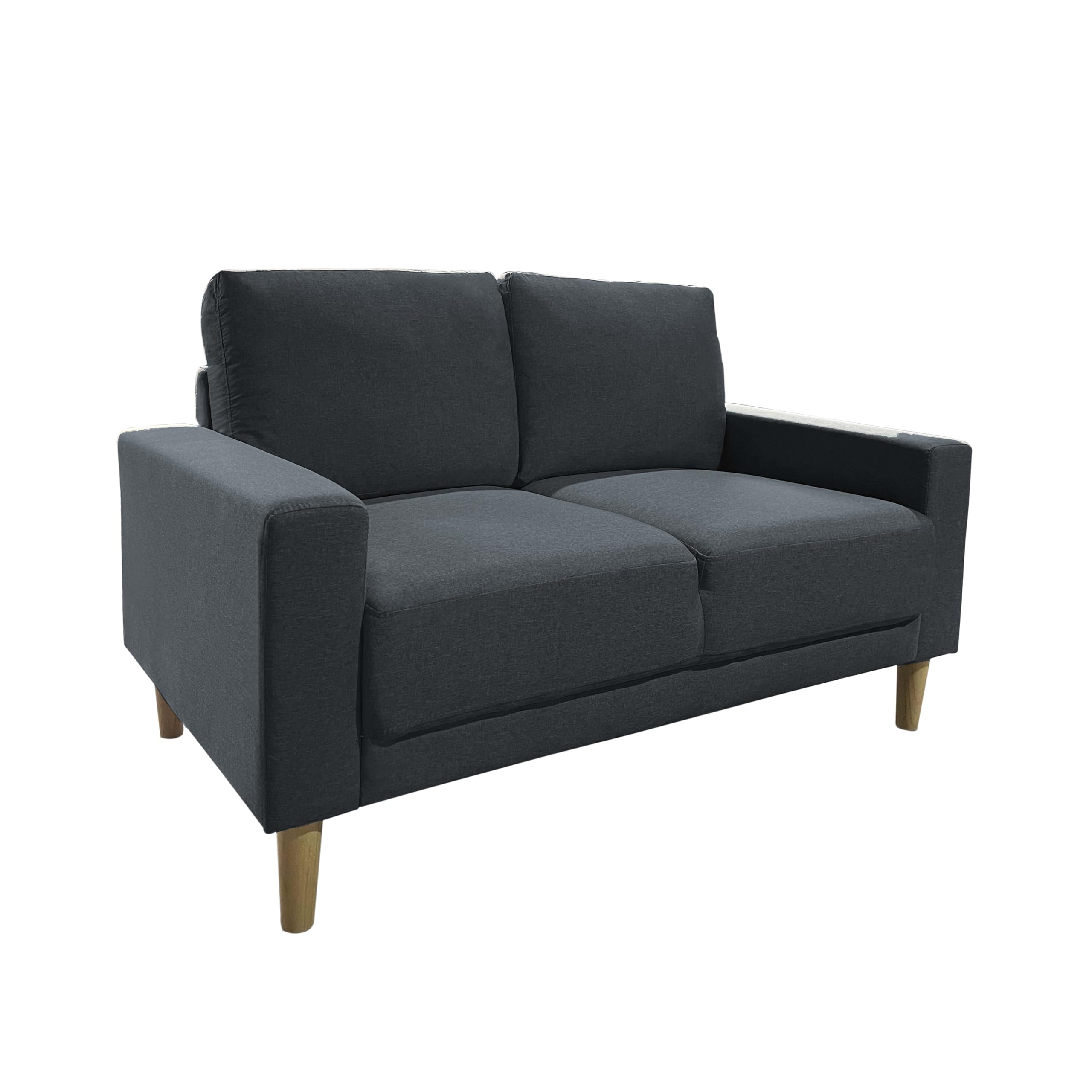 MUEBLIX.COM | Sofá Carlo de 2 Plazas | Moderno Sofá de Salón | Confortable y Tapizado en Tela | Suspensión de Muelles y Correas | Cojín del Asiento y Respaldo de Espuma