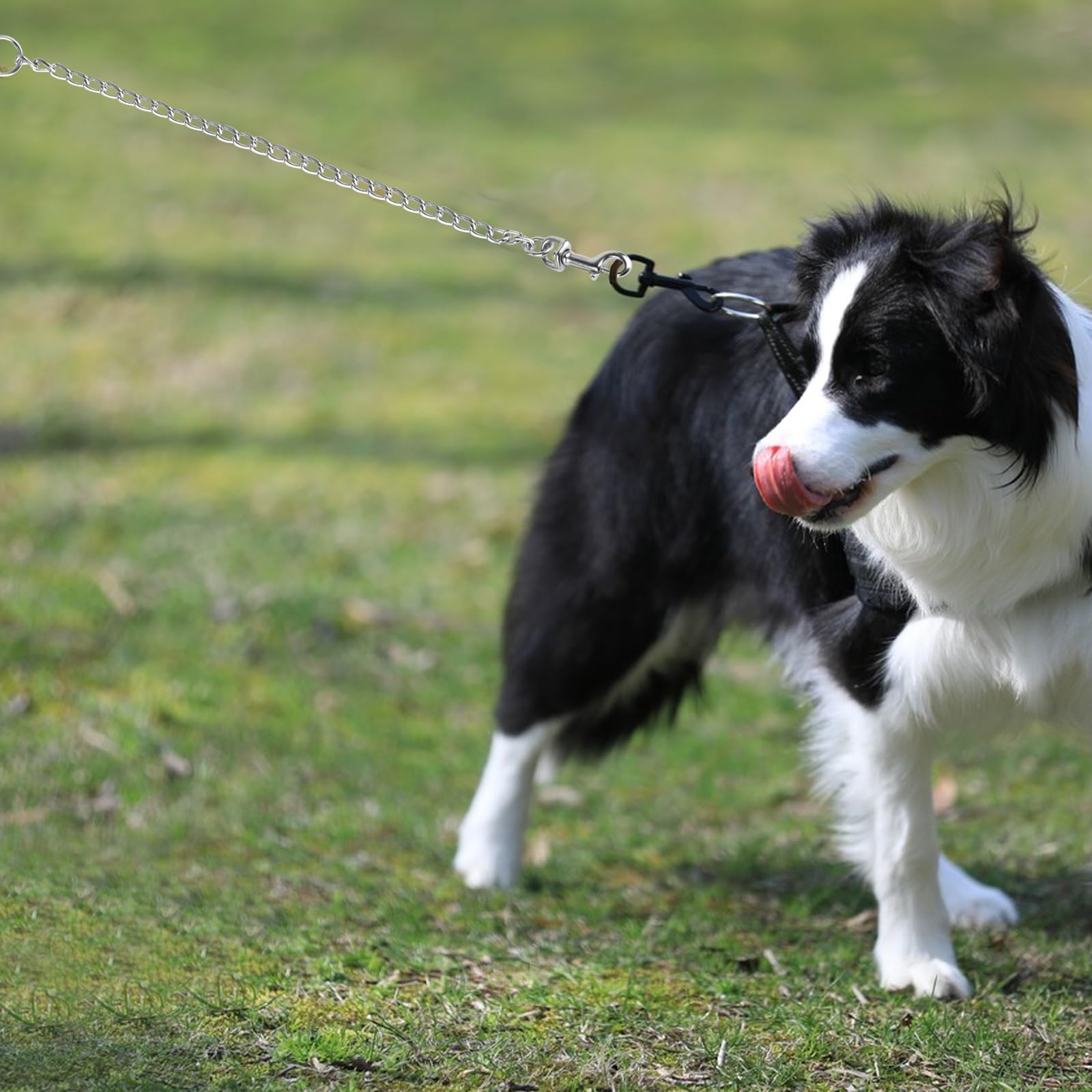 Chew Proof Metal Dog Training Leash - 3.93ft/1.2m Chain With Soft Handle For Small, Medium & Large Dogs