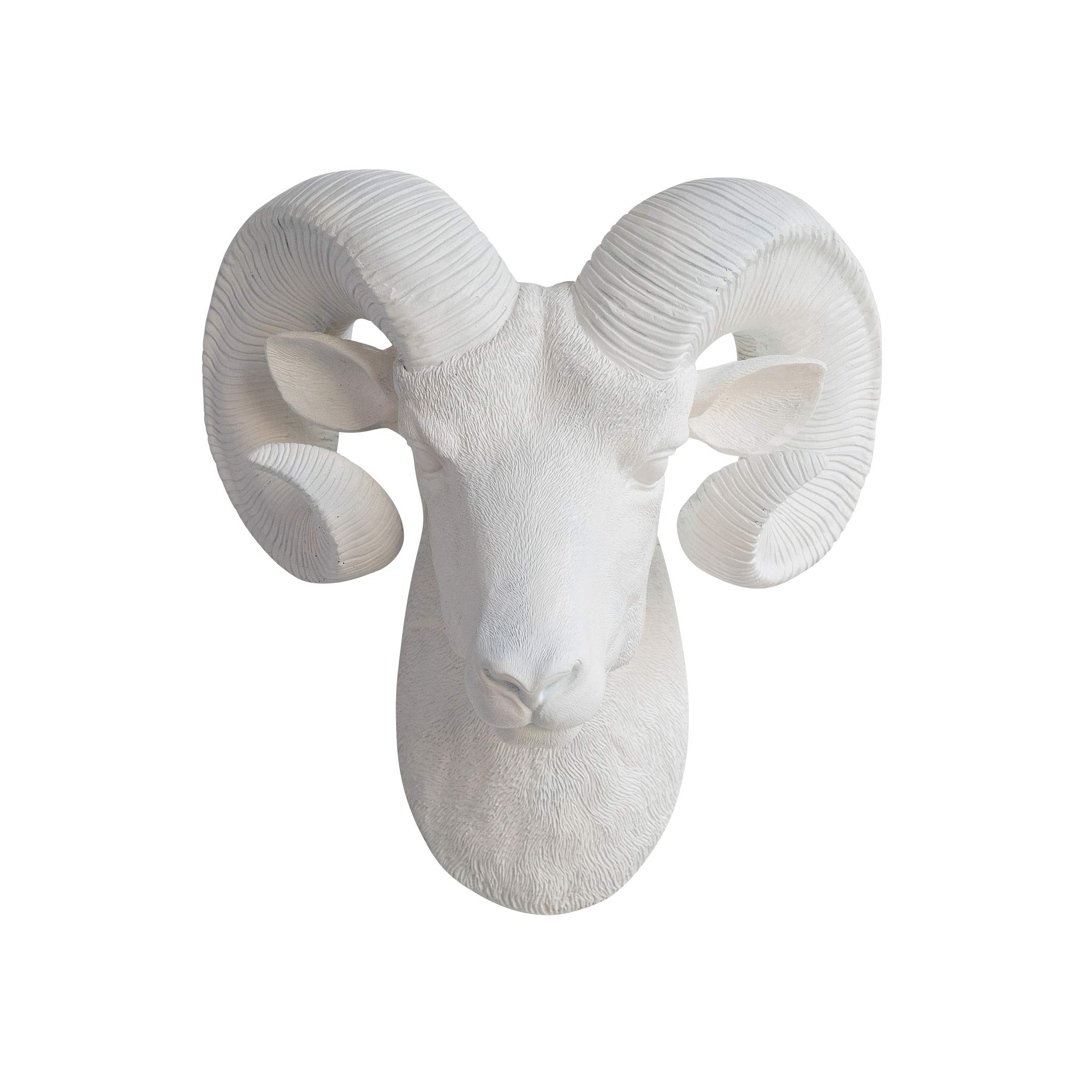 Near and Deer Faux Taxidermy Ram Head Mount, White, R0101