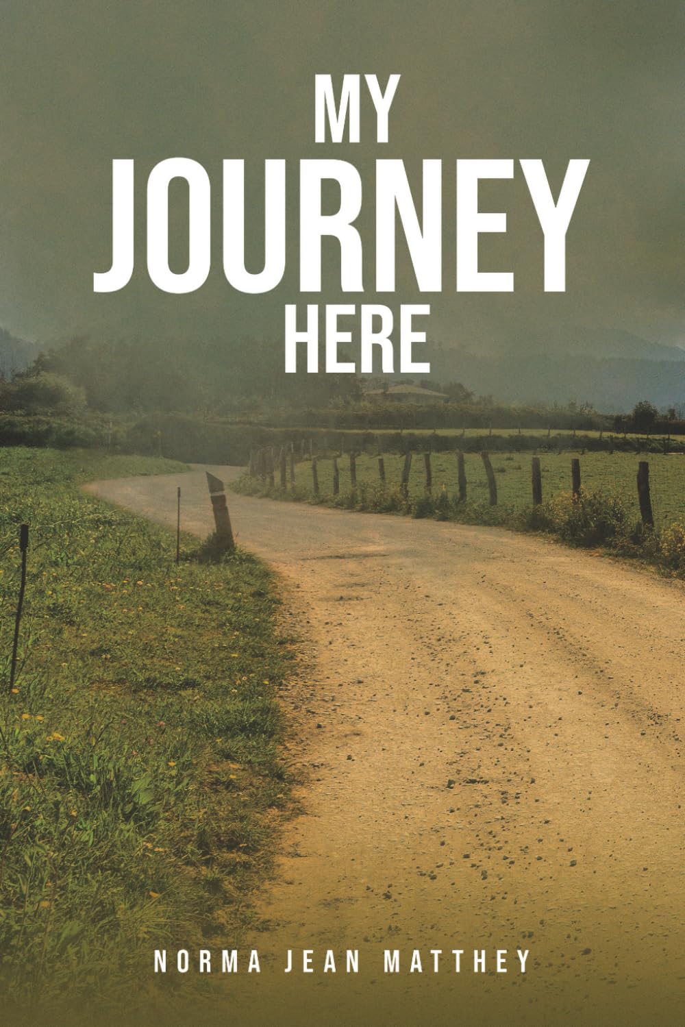 MY JOURNEY HERE