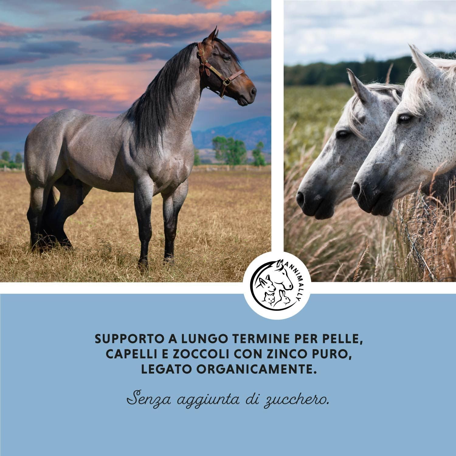 Annimally Zinco per Cavalli - Pellets di Zinco (700 g) ad Alta dose con cumino Nero, Zeolite, esparcetta e lievito di Birra per la Pelle, i Capelli e Gli Zoccoli