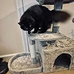 Review Image by Michelle Michelle