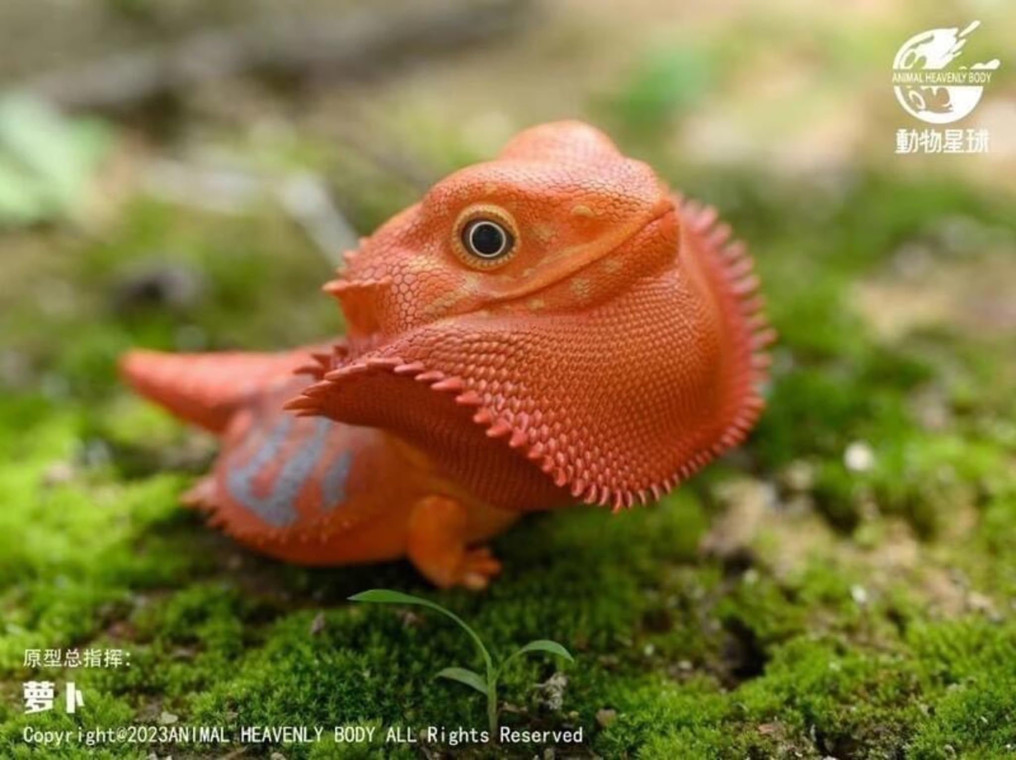 IFiDEA Animal Heavenly Body Series 16 Reptile Chubby Collectible Handcrafted Lizard Statue for Home Decor, Realistic Amphibian Sculpture (Pogona Vitticeps (Red) - Bearded Dragon)