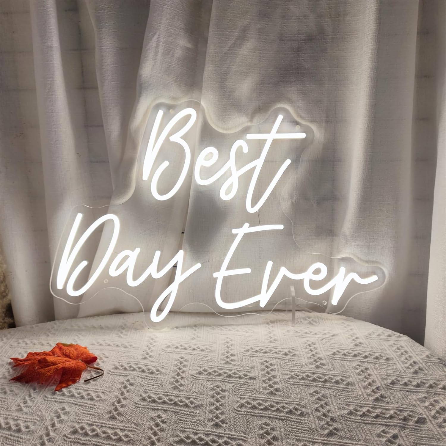 Best Day Ever Neon Sign,Led Signs,Neon Sign Weeding Neon Lights for Bar Pub Christmas,Restaurant,reception Decor White Neon Engagement Birthday Wedding Party,SIGNVIA,Size:60 * 41.7cm
