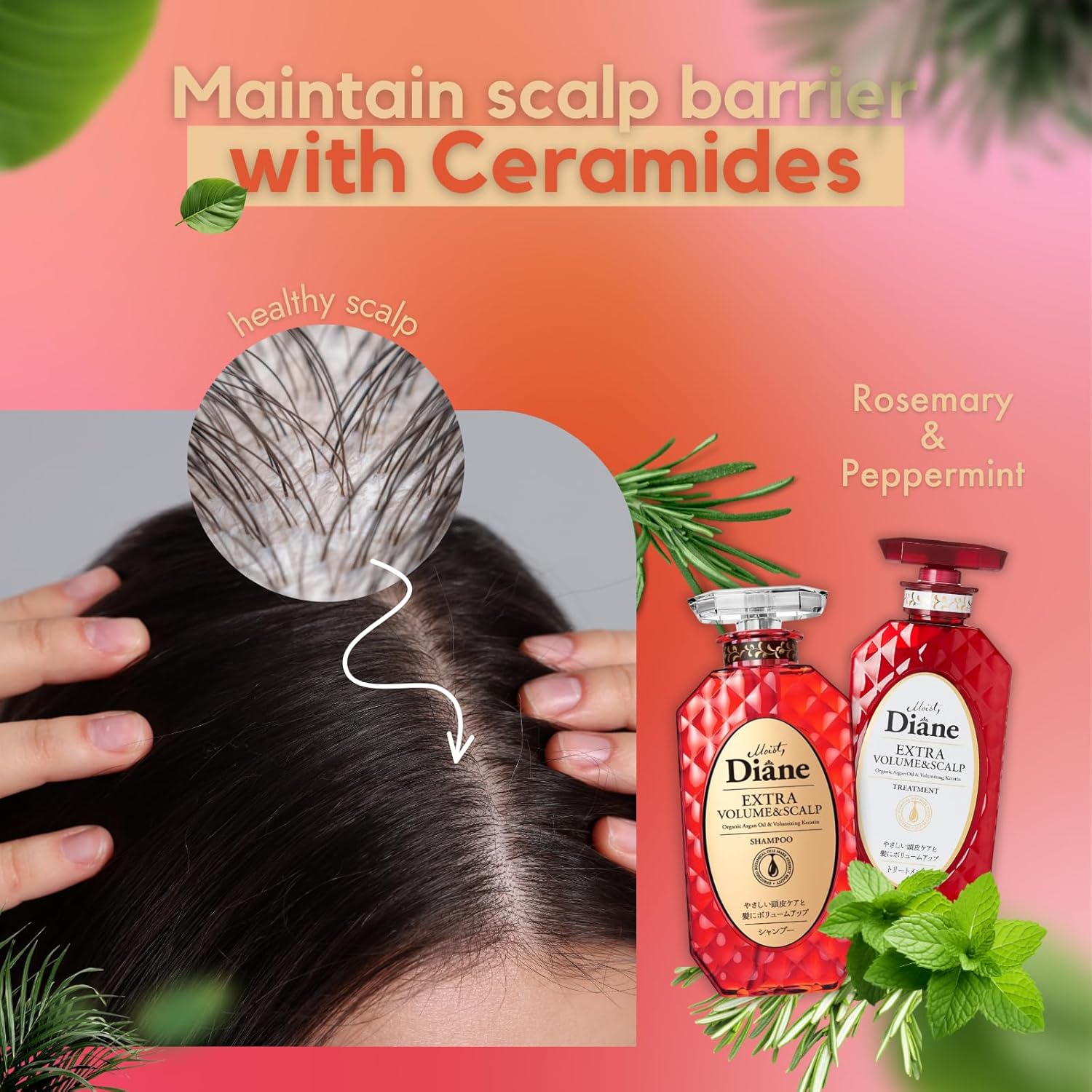 Moist Diane Thickening Shampoo and Conditioner for Fine Hair, Dry Scalp Shampoo and Conditioner for Women & Men by Argan Oil & Keratin from Japan, Silicone & Sulfate Free 30.4 Fl Oz VOLUME & SCALP - Image 5