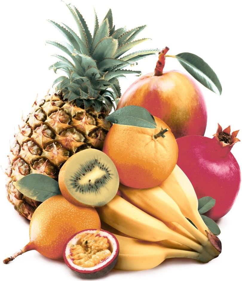 EstilkerCompo-RUIT Exotiques Ceramic Decor with Digital Printing, Yellow, Orange, Red, Set of 2 Pieces