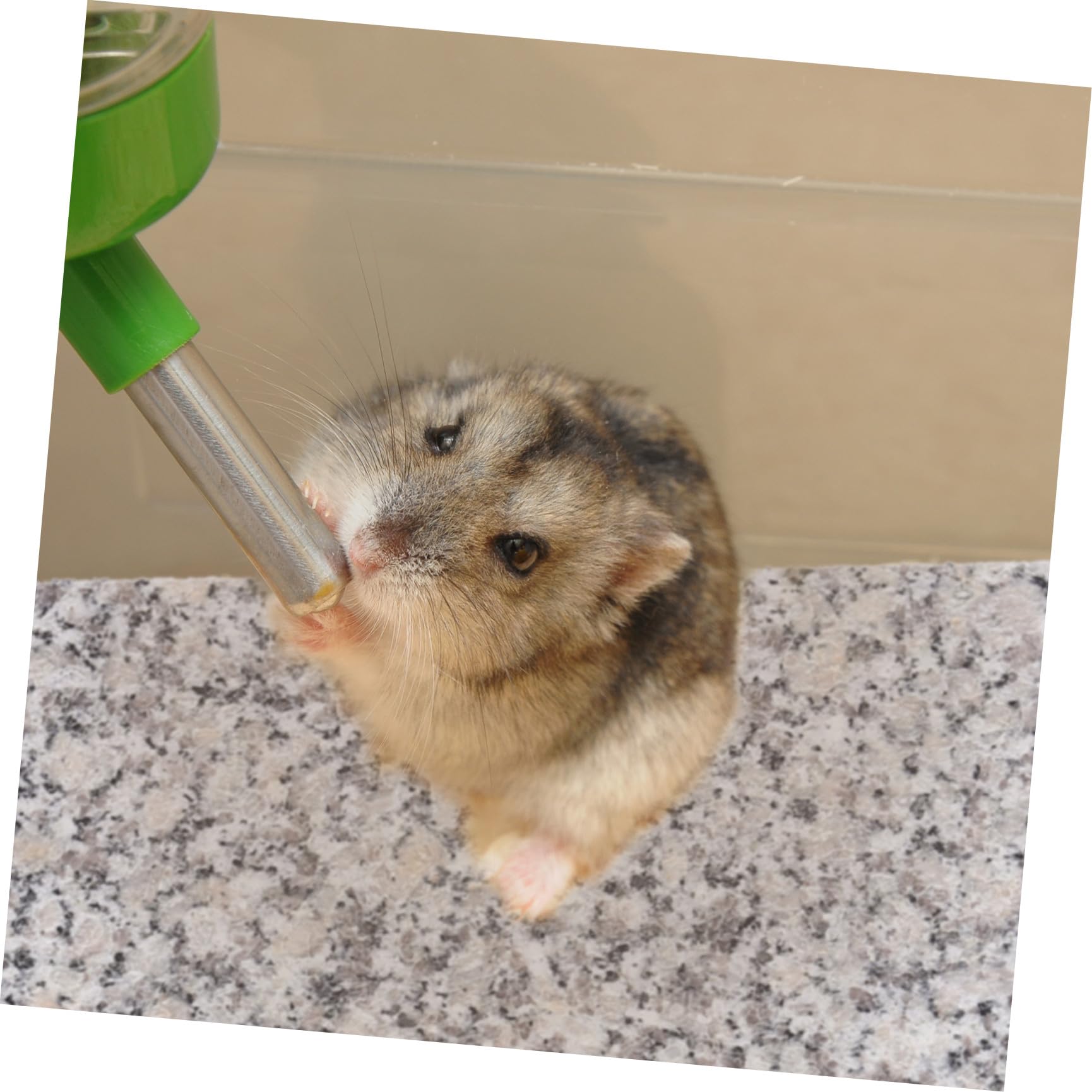 NOLITOY Hamster Kühlplatte aus Marmor, 1stück, Tragbare Platte | Sommer für Kleintiere, Geeignet für Schlafplatz, Marmor Optik mit Steinoberfläche