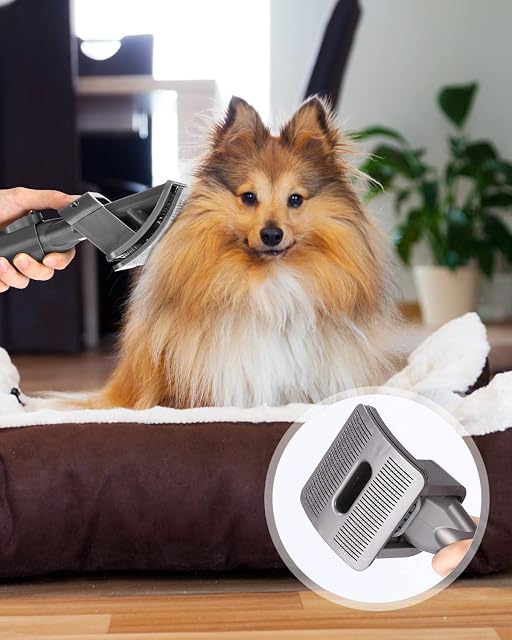 Foto 6 de 6 de heuchaey Cepillos Pelo de Perro y Gato para Aspiradora Dyson V11 V10 V8 V7