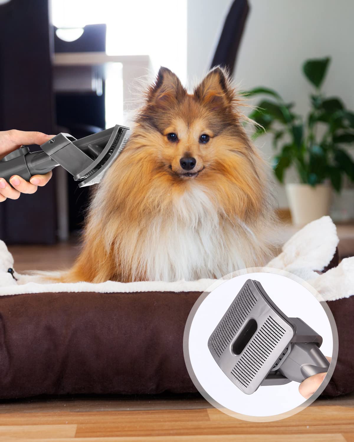 Spazzola per Cani,Peli Cane Gatto Compatibile per Dyson V11 V10 V8 V7,Spazzola Aspira Peli Animali Domestici con Adattatore Convertitore,2 Fermo Tasto Accensione,2 Spazzolini,Pet Grooming Kit Ricambi