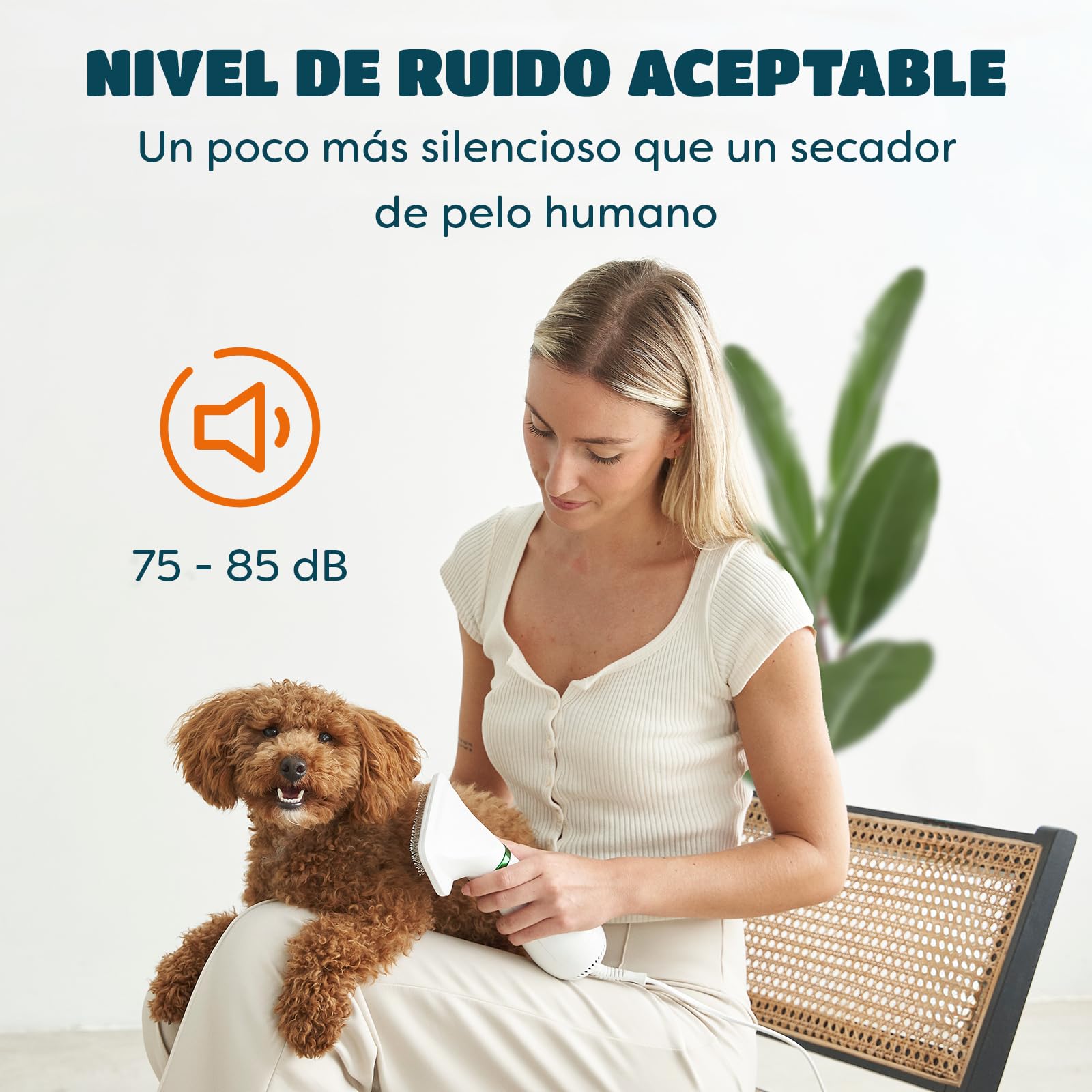 Secador de Pelo para Mascotas | Secador de Pelo Portátil y Silencioso 2 en 1 con un Cepillo Práctico | Temperatura Ajustable | para Perros y Gatos Pequeños y Medianos