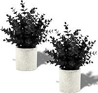Vista 1 de Paquete de 2 Plantas Falsas de Eucalipto Negro Pequeñas Plantas Falsas en Maceta Plantas Artificiales para Decoraciones de Halloween Estante