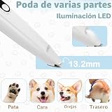 Ver la foto 2