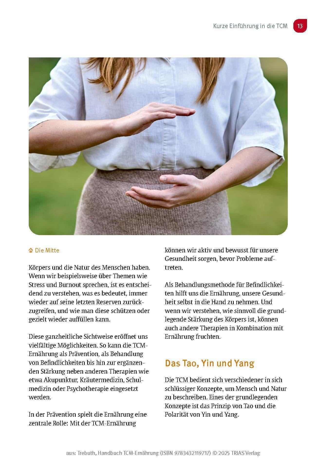 Handbuch TCM-Ernährung: Fünf Elemente Ernährung & Diätetik: das gesammelte Wissen. Grundlagen, Anwendung, Praxis, Rezepte. Nach dem Bestseller von Barbara Temelie & Beatrice Trebuth