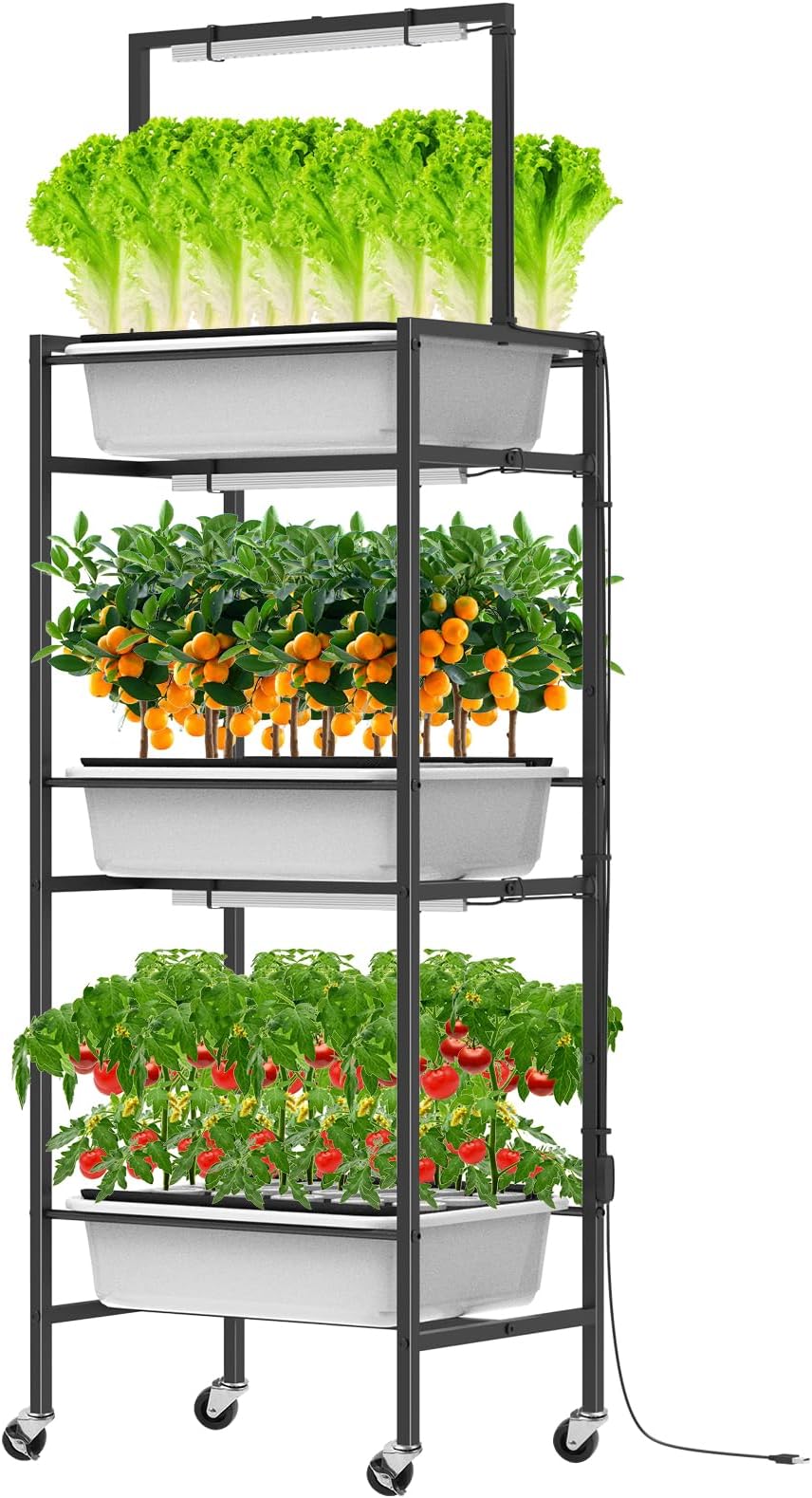 DAMEING Large Hydroponics Growing System Kit 60 Pods, Removable Herb Garden with LED Full-spectrum Plant Grow Light, 3-Tier Hydroponic Herb Garden Planter Kit with Wheels