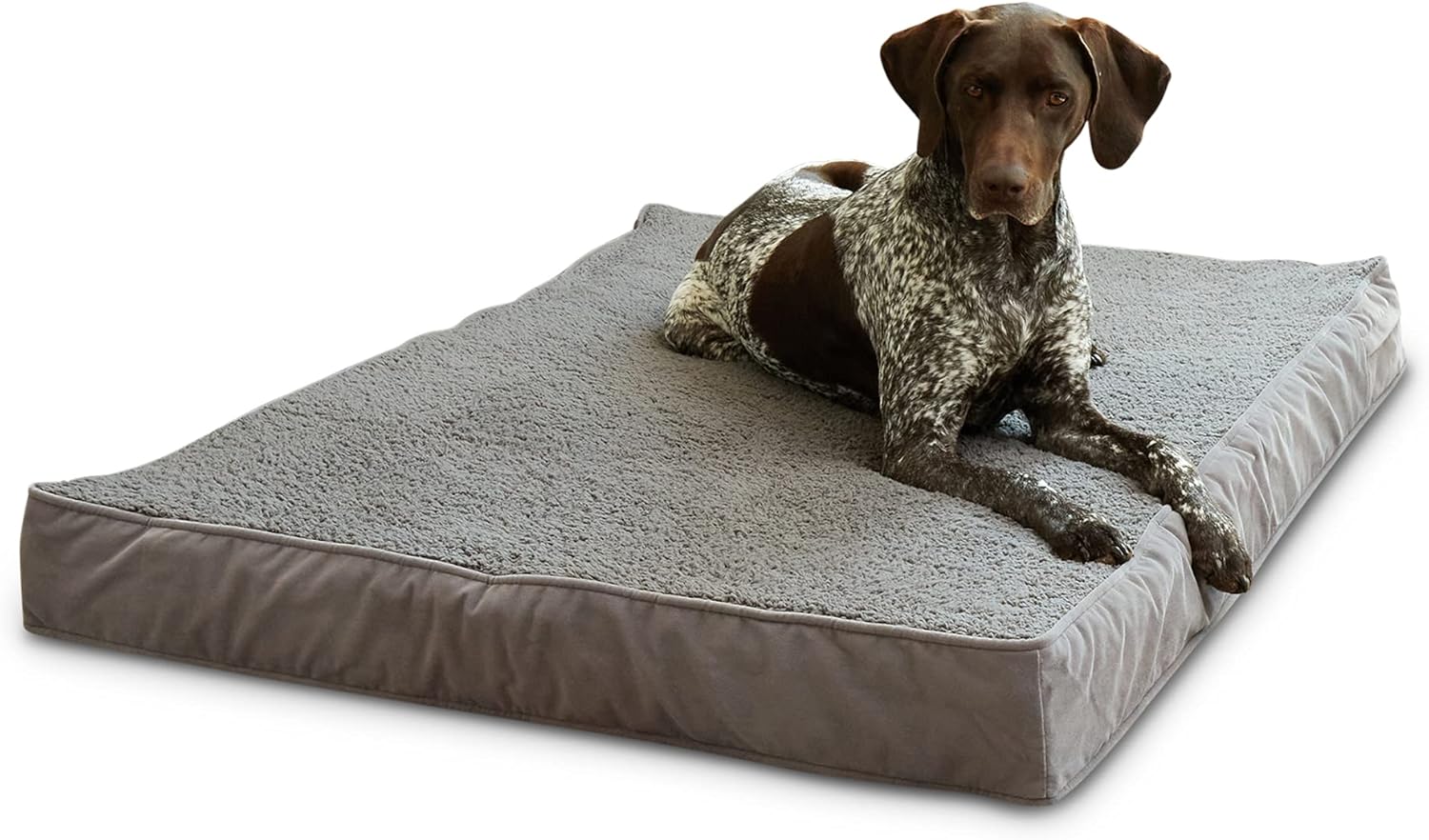 South Pine Porch Ollie Orthopedic Reversible Rectangle Microfiber and Sherpa Foam Dog Bed with Removable, Machine-Washable Cover, Gray, Large (48 in. x 36 in.)