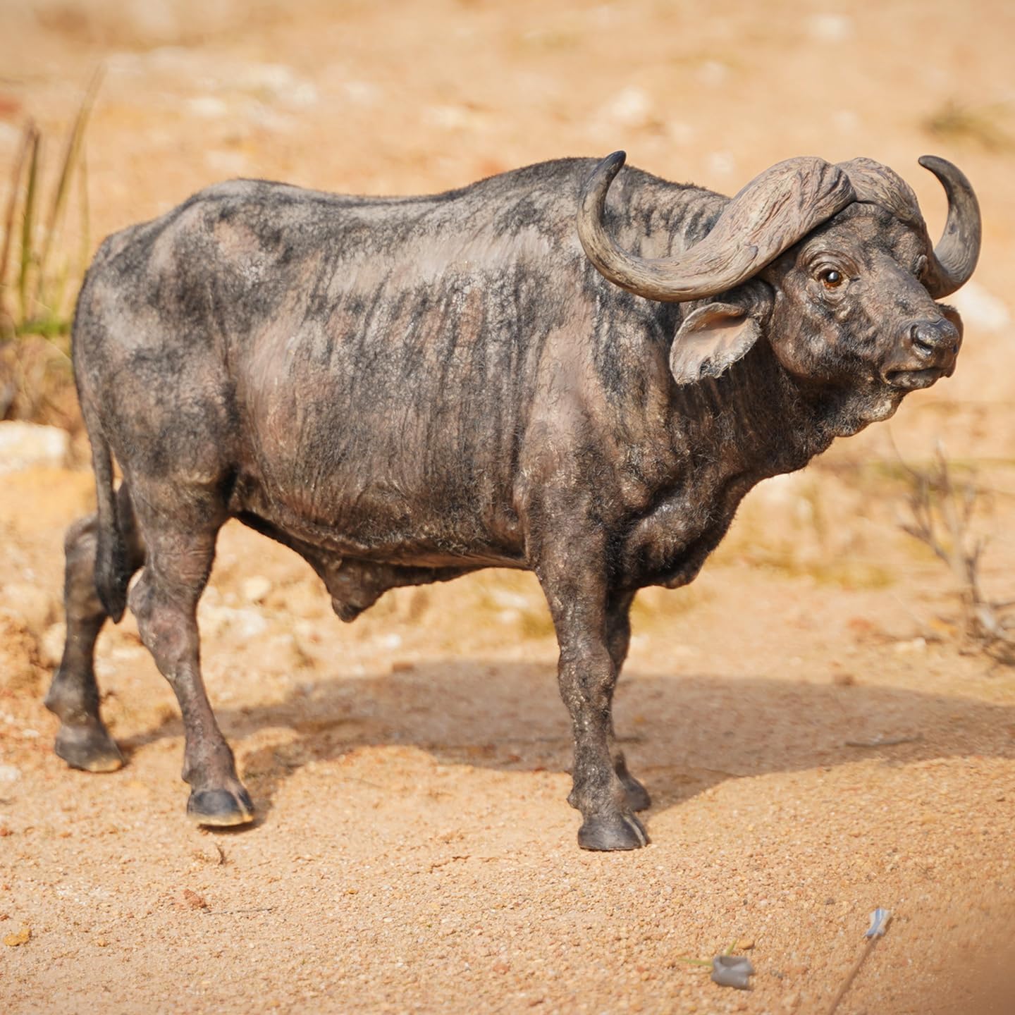 MMOS X JXK African Buffalo Cow Bison Statue with Intricate Texture Details, Gift for Animal Lovers