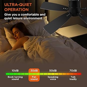 Natalia　ホヤ Amazon.com: TALOYA 42 inch Ceiling Fans with Lights,Ultra