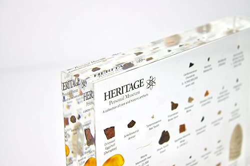 Miniatura 7 de Heritage Personal Museum, un mini museo de historia natural, 33 artefactos