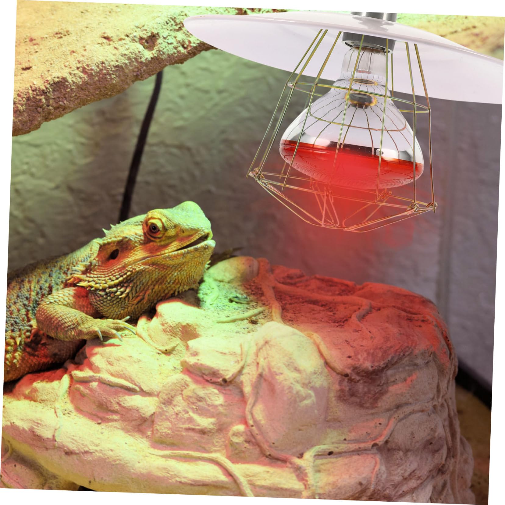 DOITOOL Reptilien Wärmelampe mit Gutem Heizeffekt, Weiß, Metall