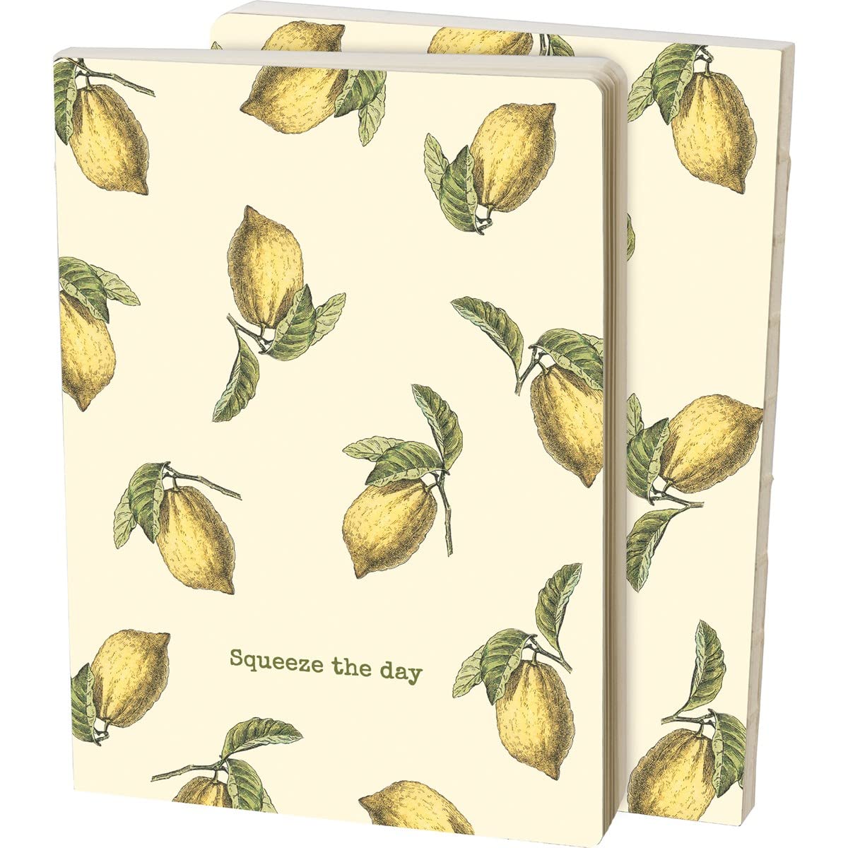 Journal Primitives By Kathy 110778 Squeeze the Day carnet écriture