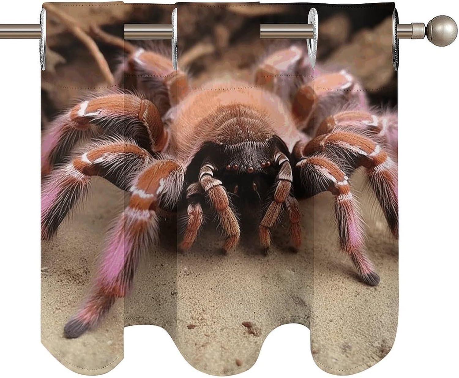 Large Mexican Pink Tarantula Curtain 2 Panels, Polyester Fiber, Blackout Insulated Window Curtain, Curtain Valance for Kitchen Dining Room Living Room Cafe Small Window 52 * 18.1 Inches