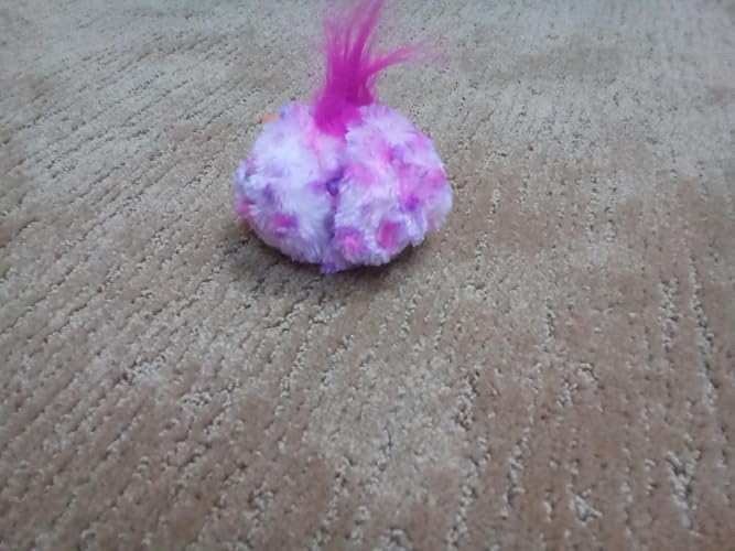 Review Image by Amazon Customer