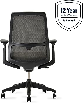 Haworth Soji Ergonomic Office Chair, Home Office Desk Chair, Clay