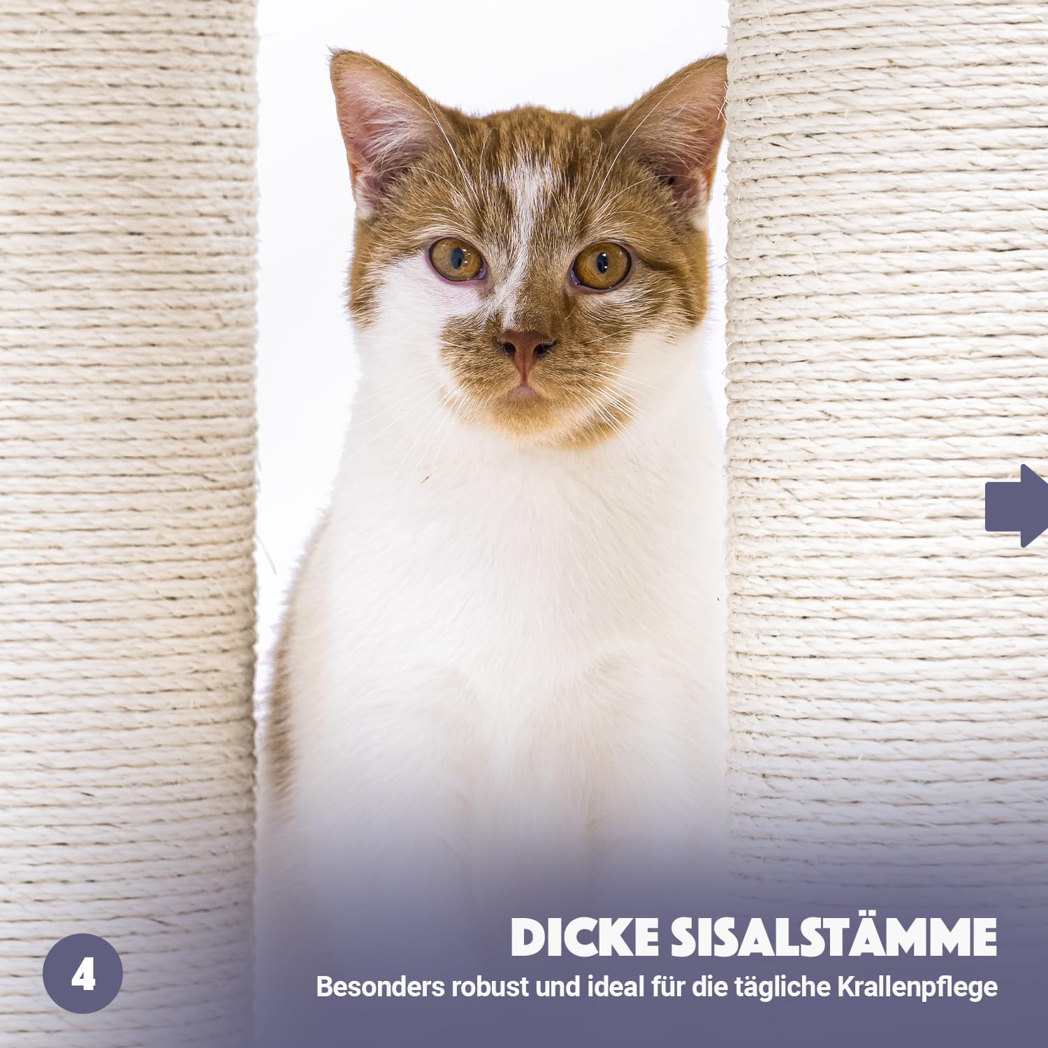 Petrebels Arbre à Chat Geant XXL Turnpike 190 Beige/Crème, 76 x 76 x 190 cm, avec poteaux de 15 cm de diamètre, Arbre à Chat pour Grands Chats