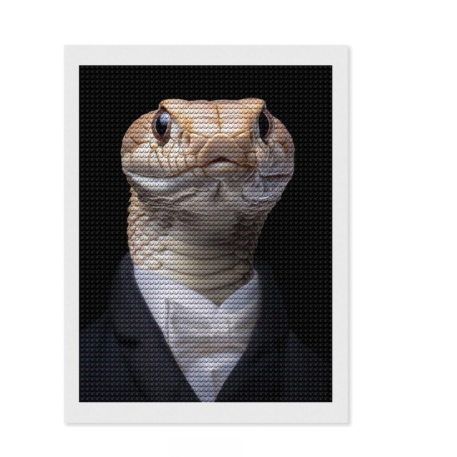 Junmoney Snake in A Suit Diamond Painting Set 12"x16", for Adults, Home Wall Decor, Easy to Enjoy, Christmas Gift, Nice Detail and Sparkle