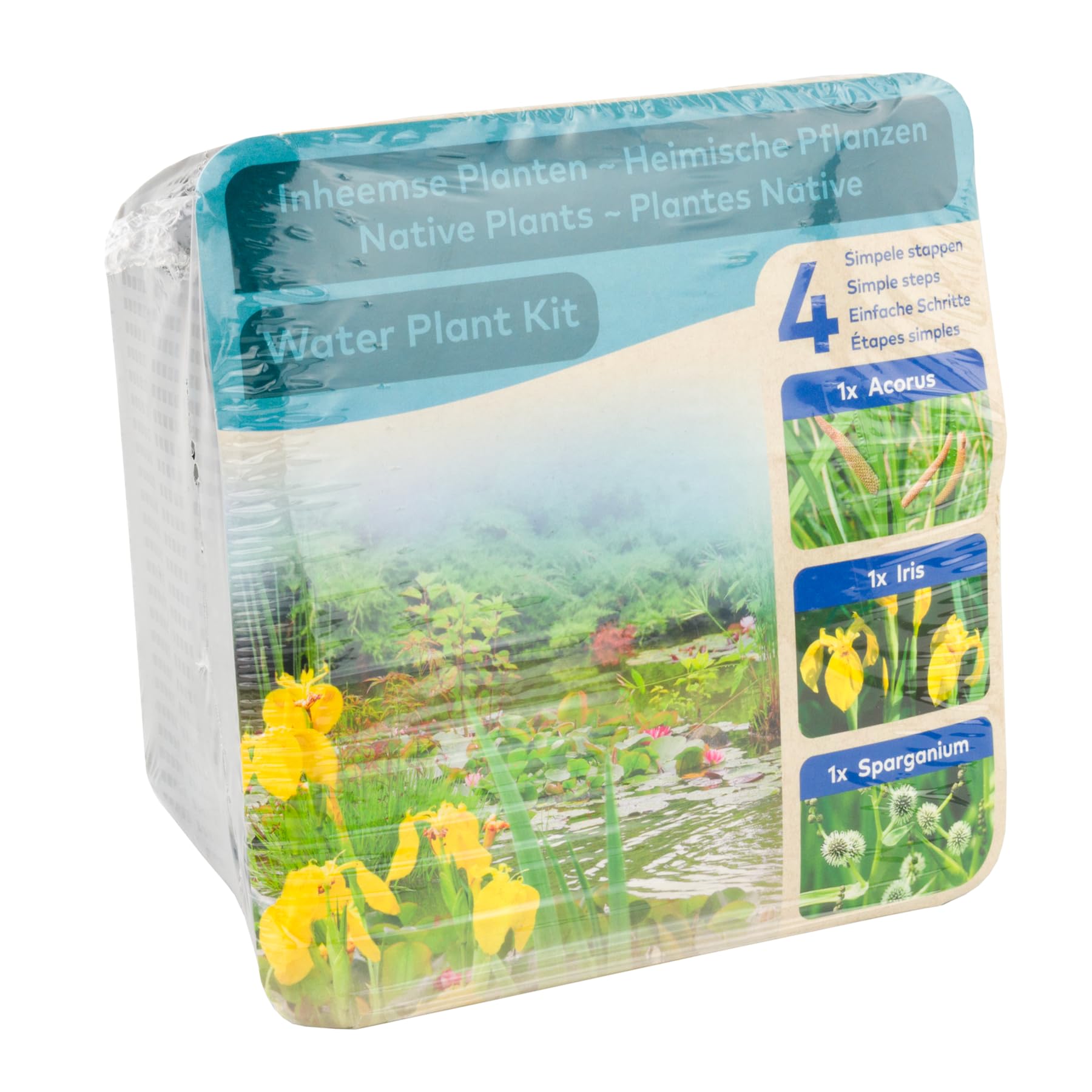 Moerings Waterplants Pond Planting Complete Kit - Native Plants (Iris, Acorus and Sparganium)