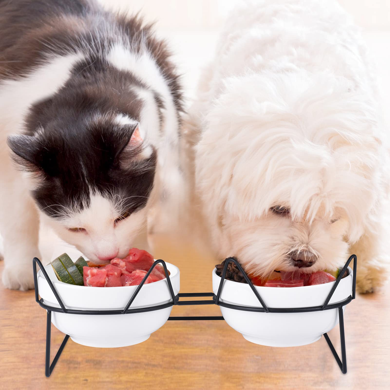 Trosetry Cat Bowls, Double Ceramic Pet Bowls with 15°Tilted Raised Stand for Food and Water, Anti Vomiting Cat Dish Feeder, Perfect for Puppy Cats and Small Dogs(Black Stand)