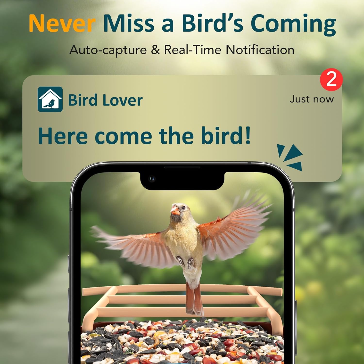 Smartphone displaying a bird arrival notification from the Bird Lover app