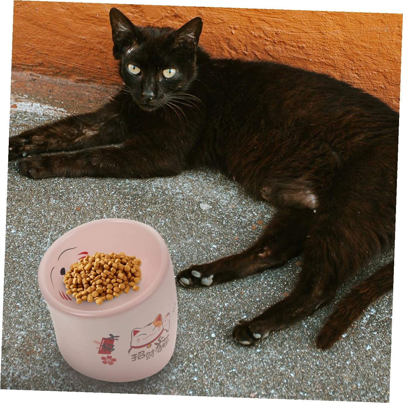 Anti-Overturn Ceramic Elevated Cat Bowl with Neck Protection Pink, Non-Spill Cat Feeding and Water Bowl for Indoor Pets