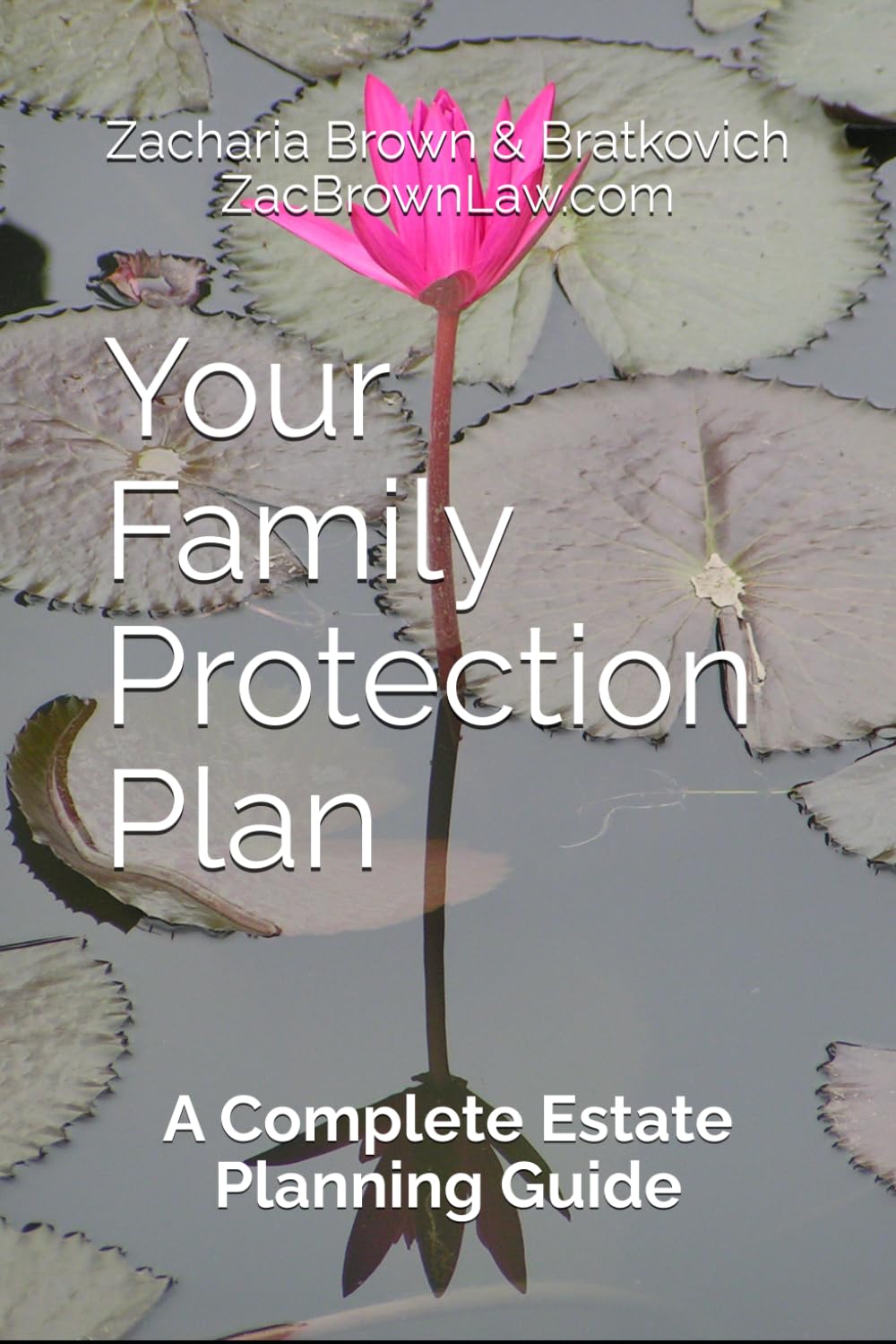 Your Family Protection Plan: A Complete Estate Planning Guide