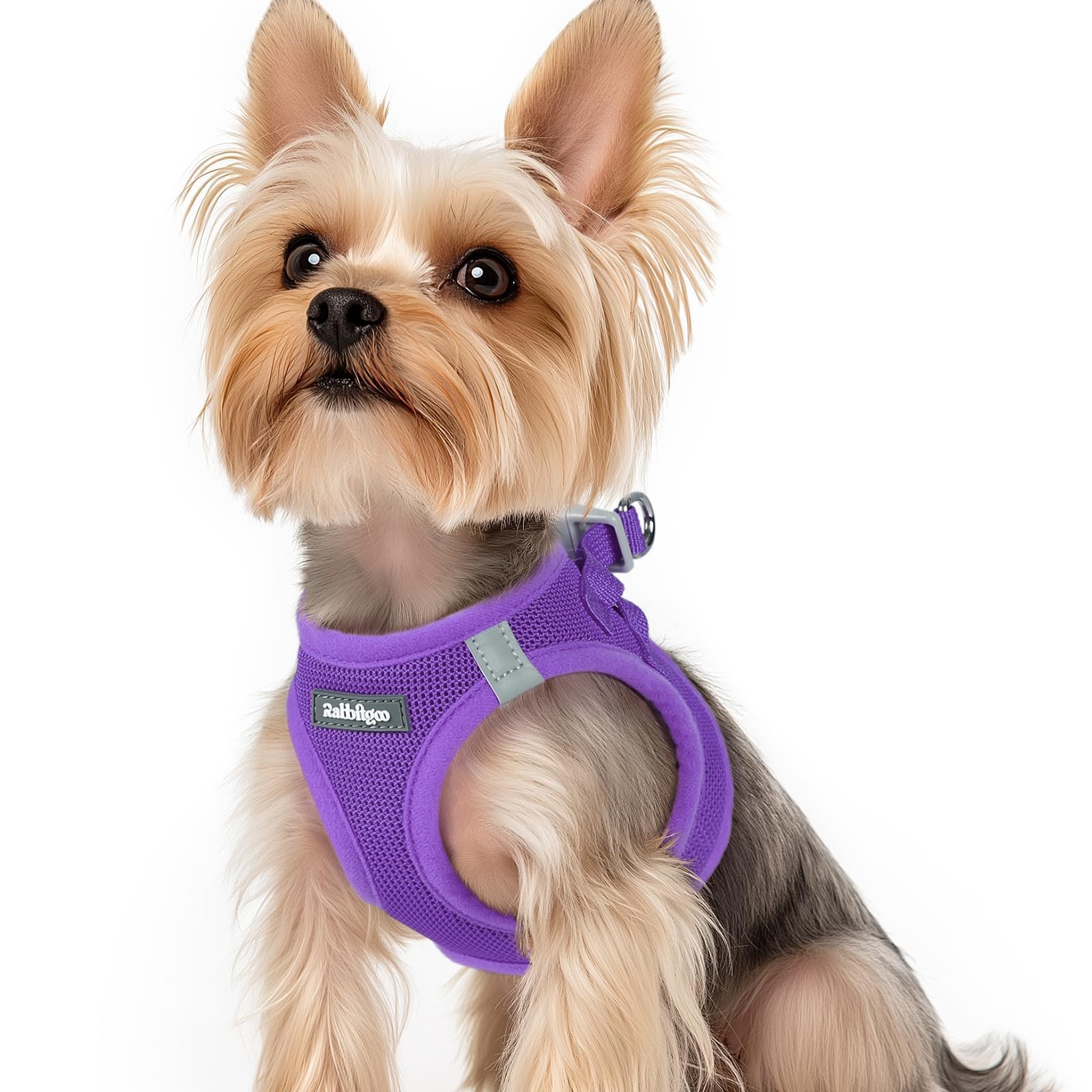 rabbitgoo Dog Harness Small Dog, Step-in Soft Mesh Puppy Harness with Reflective Strips, Lightweight Breathable Pet Vest for Walking Training, Purple, XS
