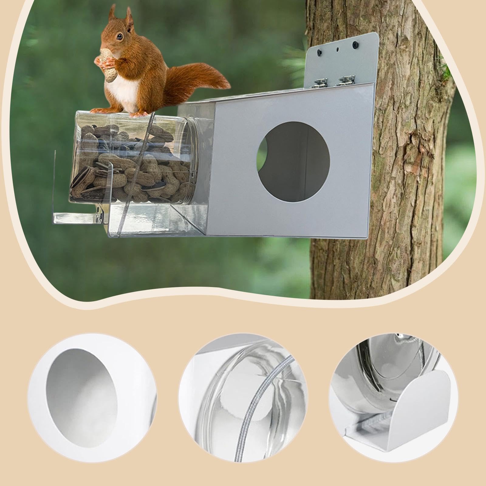 Mangiatoia per scoiattoli con Rimovibile, Stazione di Alimentazione Stabile e Versatile, casetta per scoiattoli per Giardino, Cortile e spazi