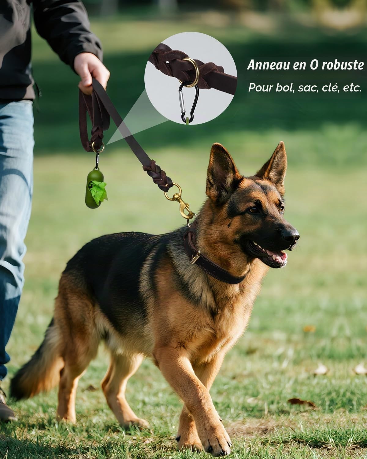 Joytale Laisse Chien Cuir, Laisse en Cuir Robuste pour Chien avec Crochet en Laiton, Douce Et Durable, Adaptée Aux Petits, Moyens Et Grands Chiens（Marron, 150cm×2cm）