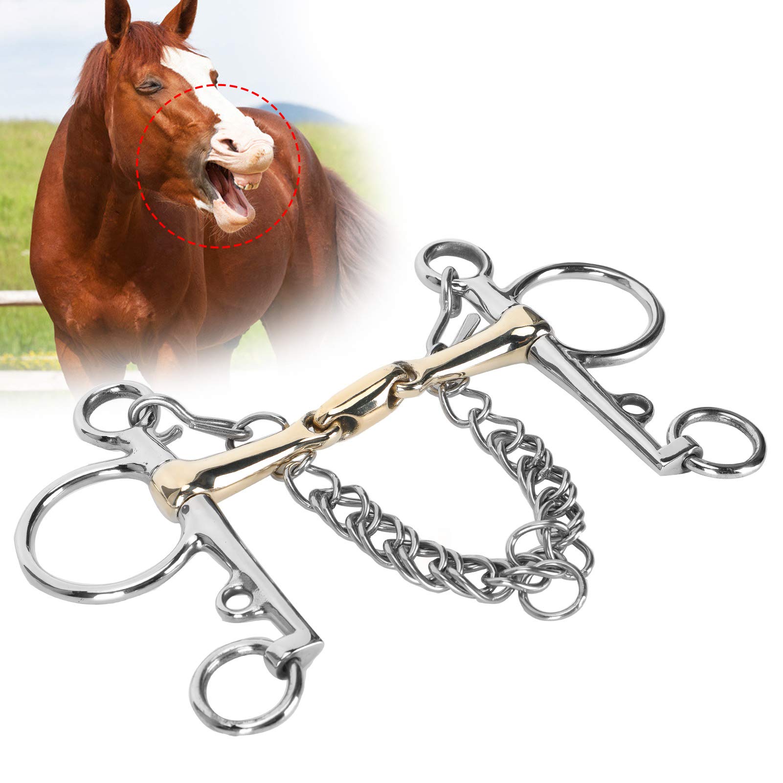 Pelham, acero inoxidable Pelham, broca Pelham de boca articulada, broca para caballo, accesorio para broca Pelham de acero inoxidable