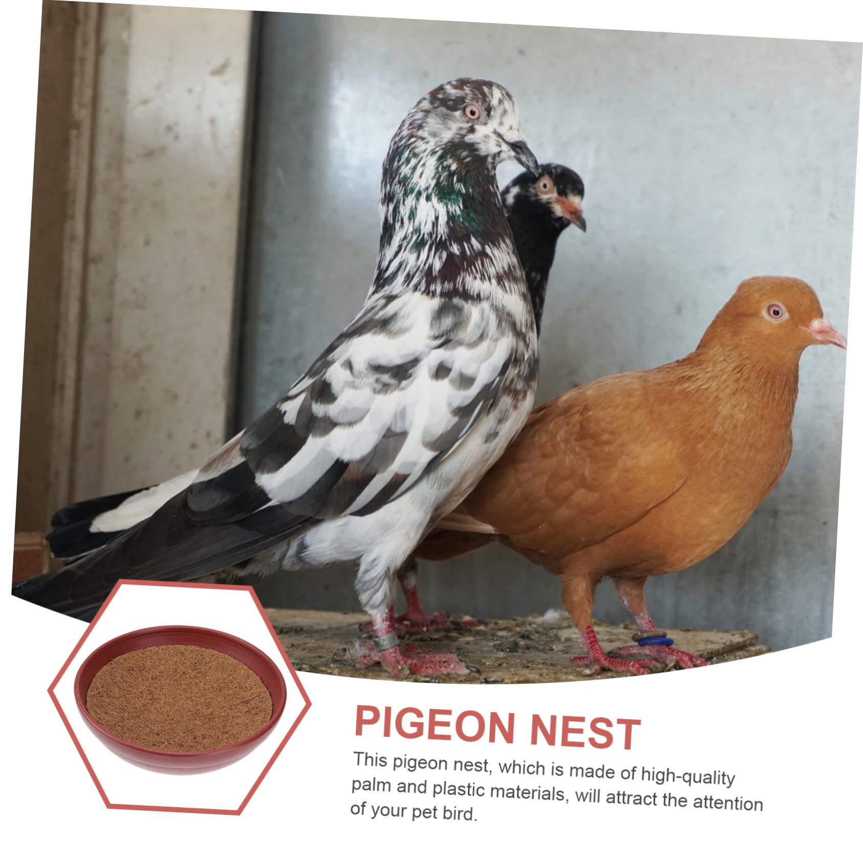 Nids D'œufs pour Pigeons, Lot de 3 Sets de Ensembles, Bassin Plastique