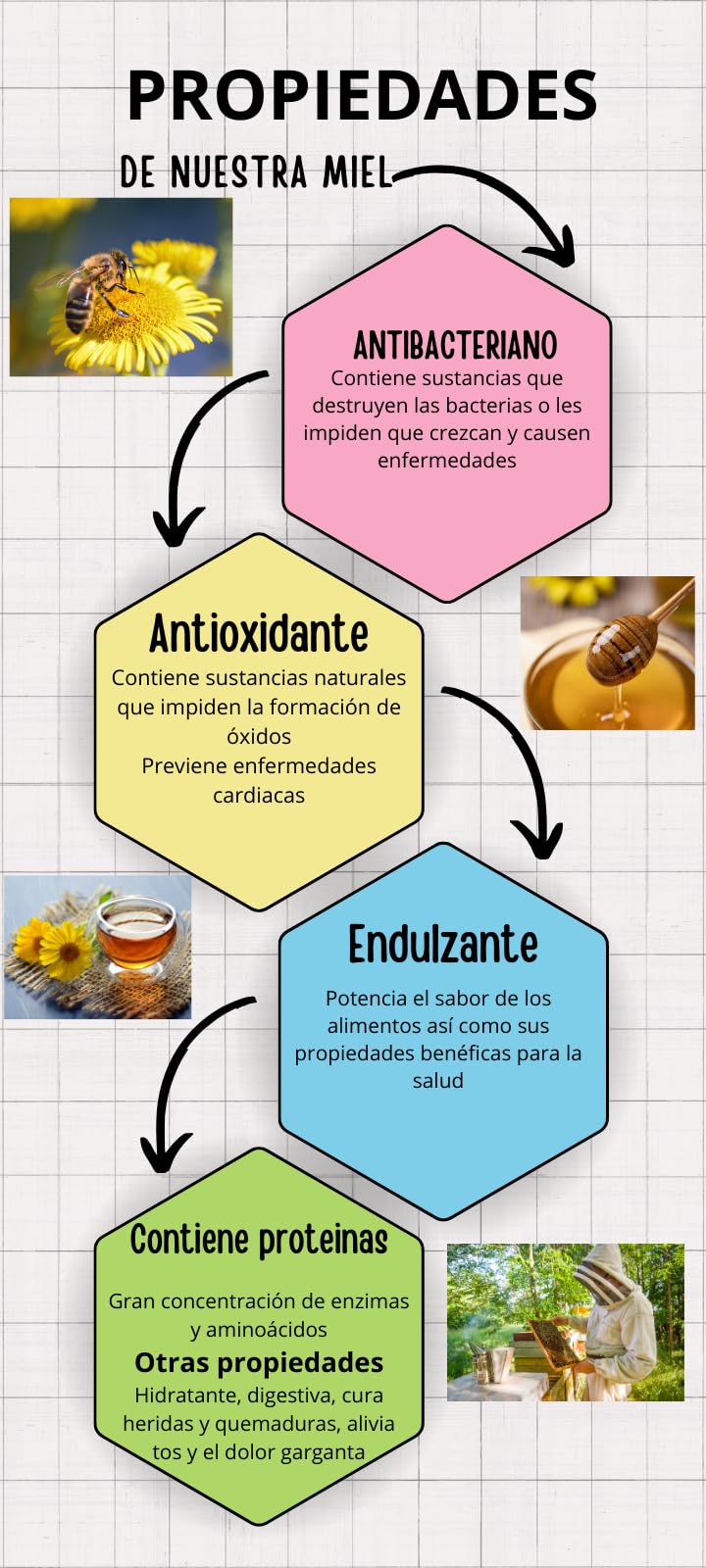 Miel Pura de Abeja-100% Origen España-Miel Cruda-1Kg-Miel Natural-Directa de Apicultor-Sin Procesar-Sin Pasteurizar. (Kg, Flores silvestres)