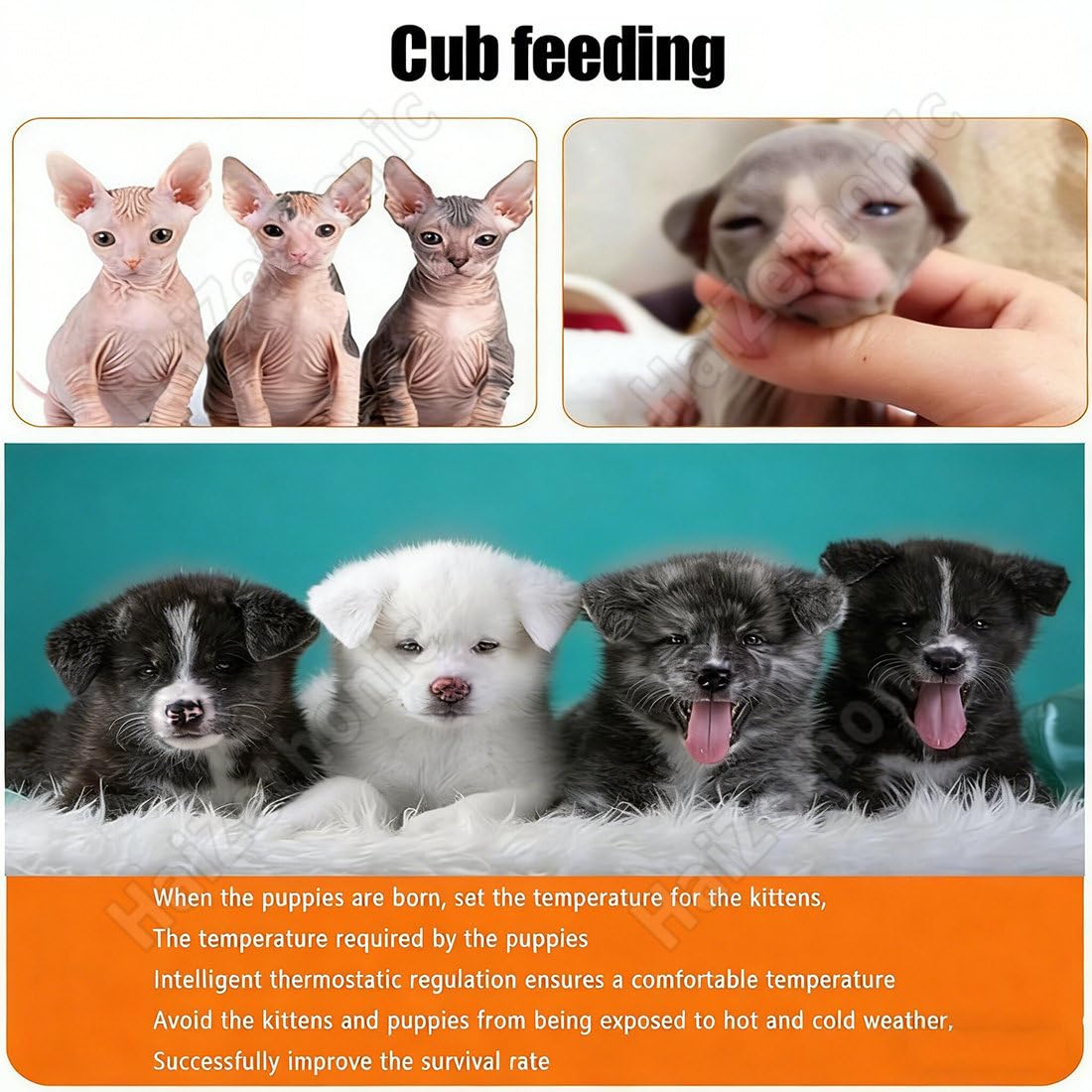 Caja Incubadora para Mascotas Pequeñas,con Lámpara Calefactora Y Circulación Tridimensional,Control Temperatura Constante,para Cachorros/Gatitos/Crías 100×50×50cm