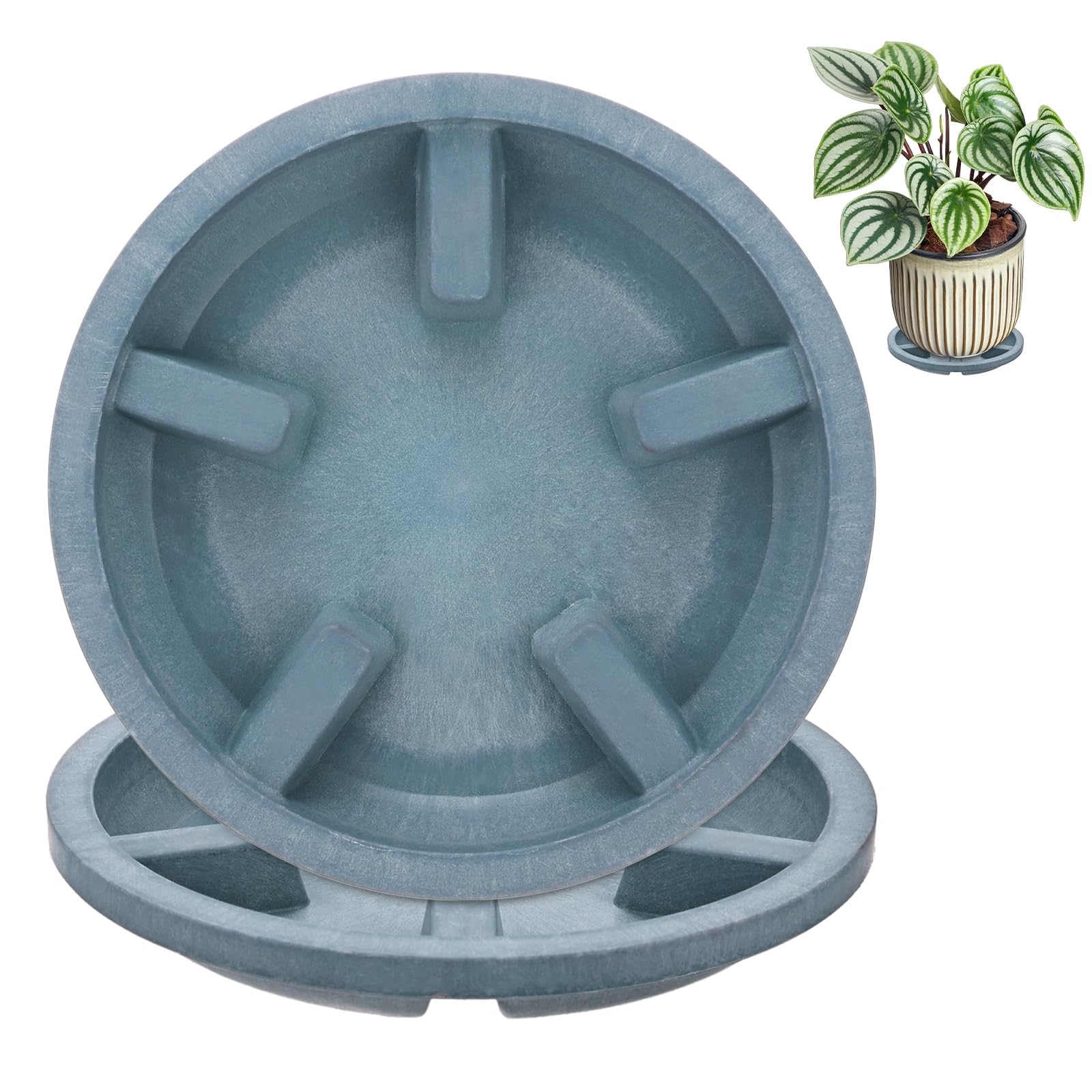 M METERXITY 2-Pack Plant Saucers 5 inch OD Anti-Rot Root Resin, Blue