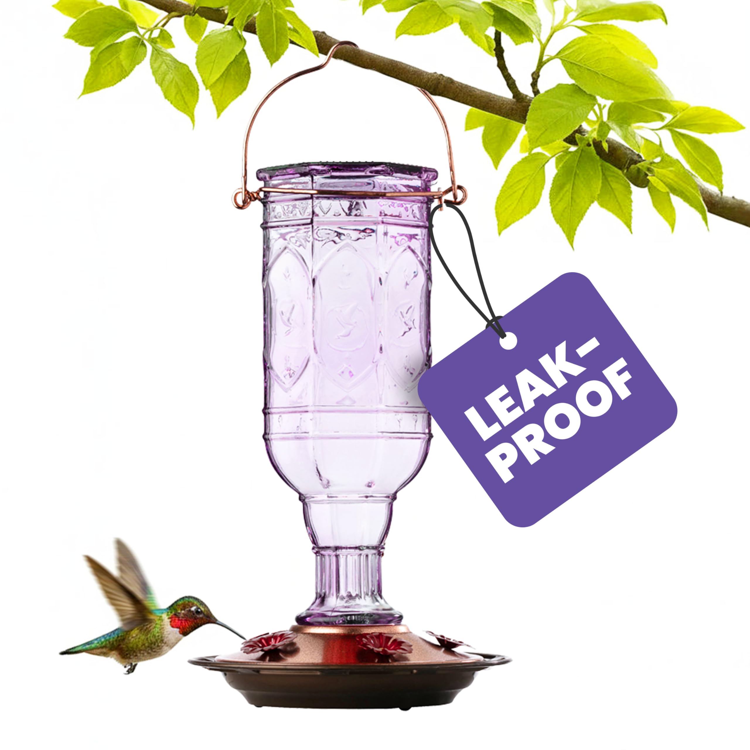 More Birds Amethyst Jewel - Comedero para colibríes, comederos de Vidrio para colibríes para Exteriores, 5 Estaciones de alimentación, 20 onzas