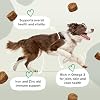 Multi-Vitamins & Minerals Soft Chew Dog Supplements – 21 Essential Nutrients for Daily Health, Energy, Joints, Skin & Coat with Omega 3 EPA & DHA – 120 Soft Chews