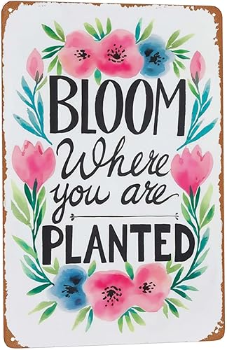 Letrero de metal de inspiración de jardín, 8 x 12 pulgadas, "Bloom Where Planted", decoración rústica de pared para invernadero, porche y estética