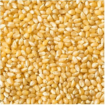 Everwilde Farms - 1 Lb Lady Fingers Open Pollinated Corn Seeds - Gold Vault