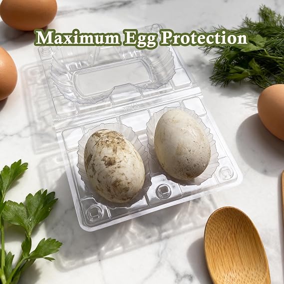 Plastic Goose Egg Cartons Cheap Bulk Empty Clear Large Duck Eggs Tray Holders Box for Farm Reusable Storage Container (20, 12)