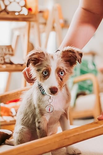 Miniatura 3 de Ohio State Helmet Paw Print Collar Charm